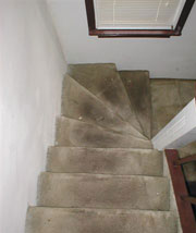 carpet cleaning in london - before and after